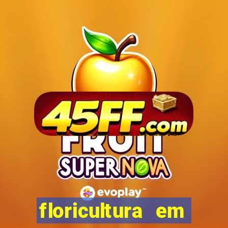floricultura em porto alegre